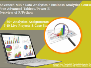 100% Job, Business Analytics Certifications