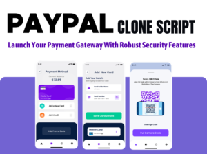 Get Your Paypal clone script at Low Cost