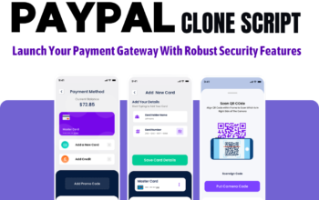 Get Your Paypal clone script at Low Cost